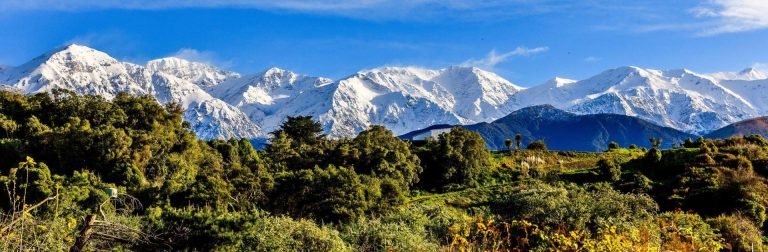 KAIKOURA 768x252