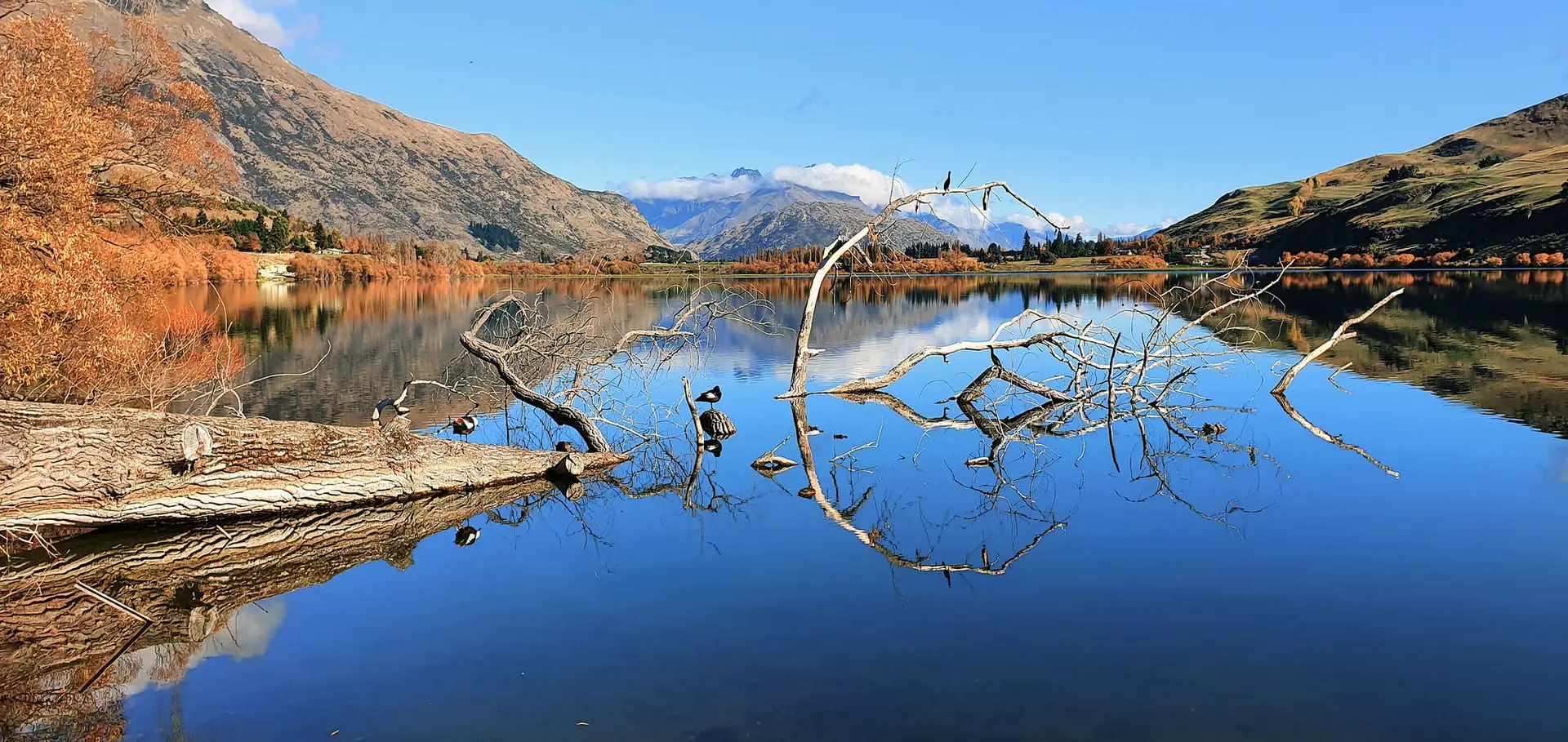 Central Otago travel blog