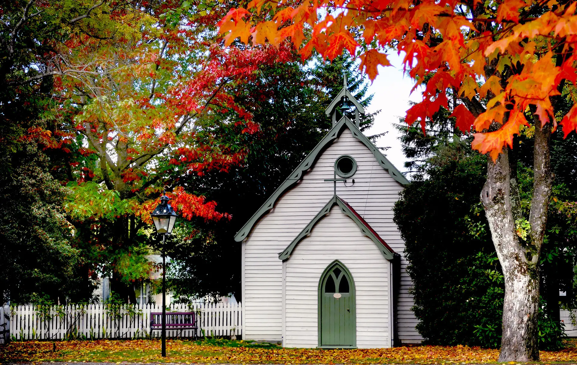 Autumn Adventures in New Zealand
