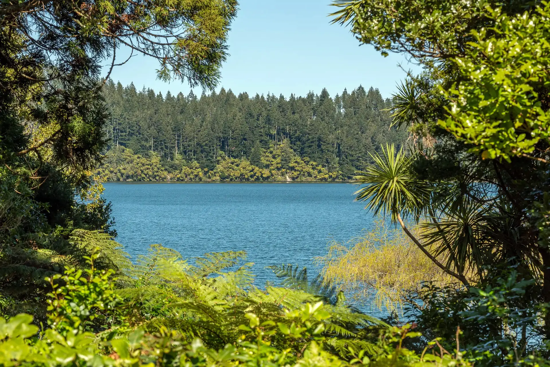 Rotorua travel blog