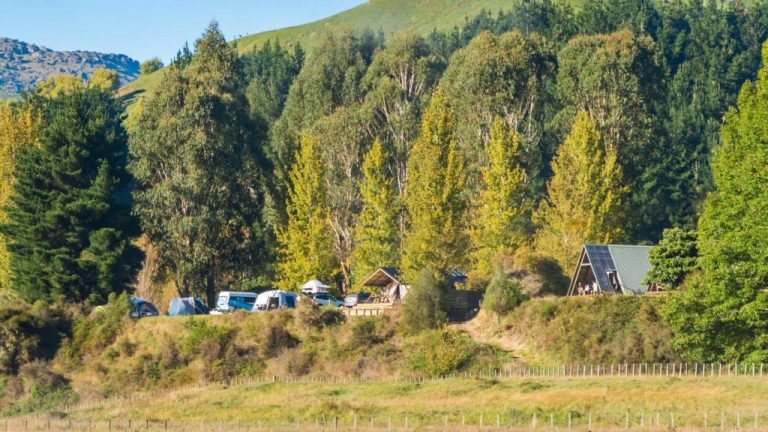 campground mohaka river 768x432
