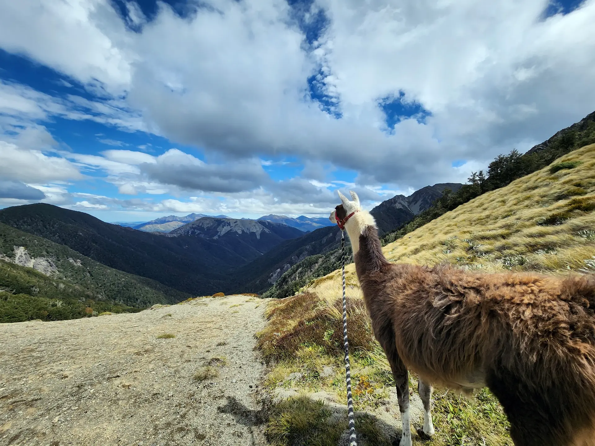 North Canterbury travel blog