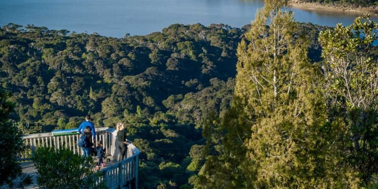 Auckland nature tour views 768x384