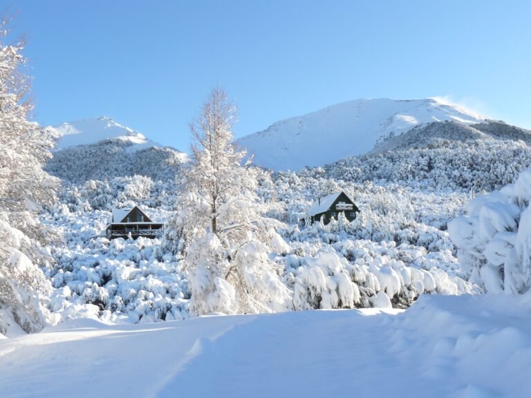 North Canterbury Cabins 768x576