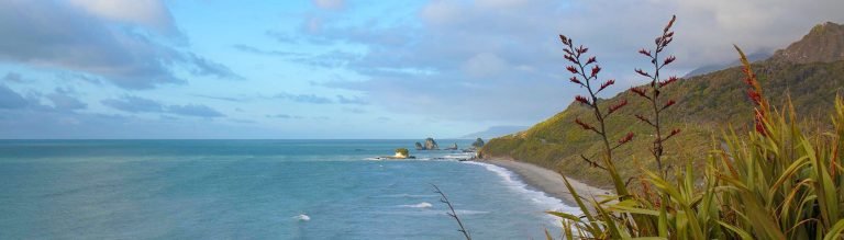 Rapahoe Accommodation 768x219