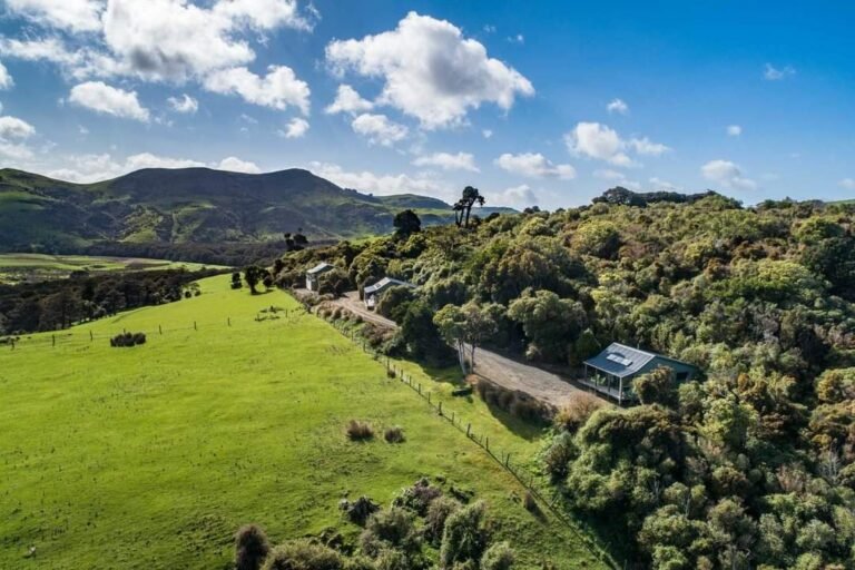 Southland accommodation wildlife 768x512