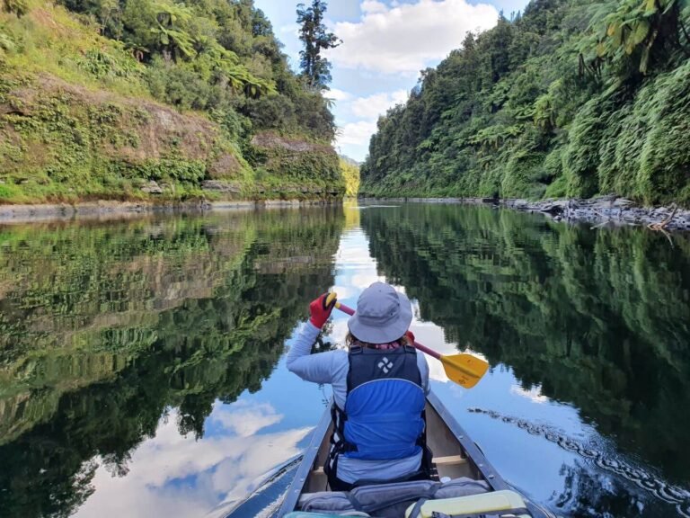 Whanganui river journey 768x576