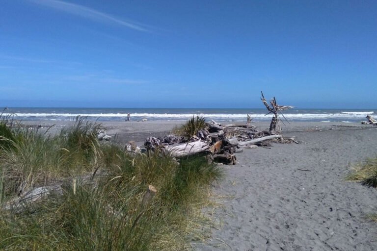 accommodation hokitika beach 768x512
