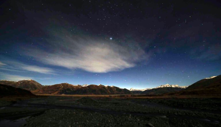 activity fairlie nz 768x442