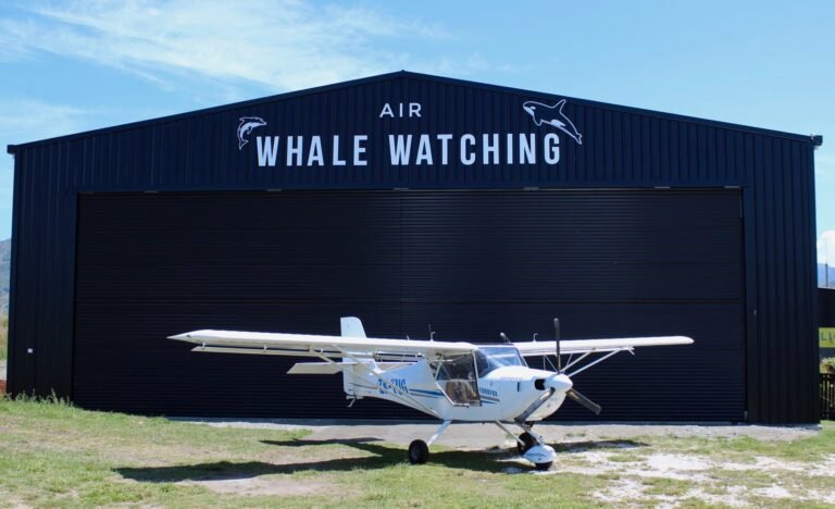 air whale watch kaikoura 768x468