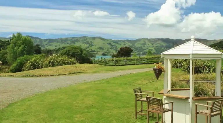 akaroa wine tour 768x425
