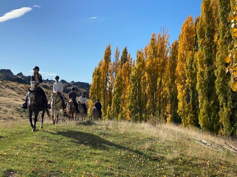 alexandra horse trek 768x576