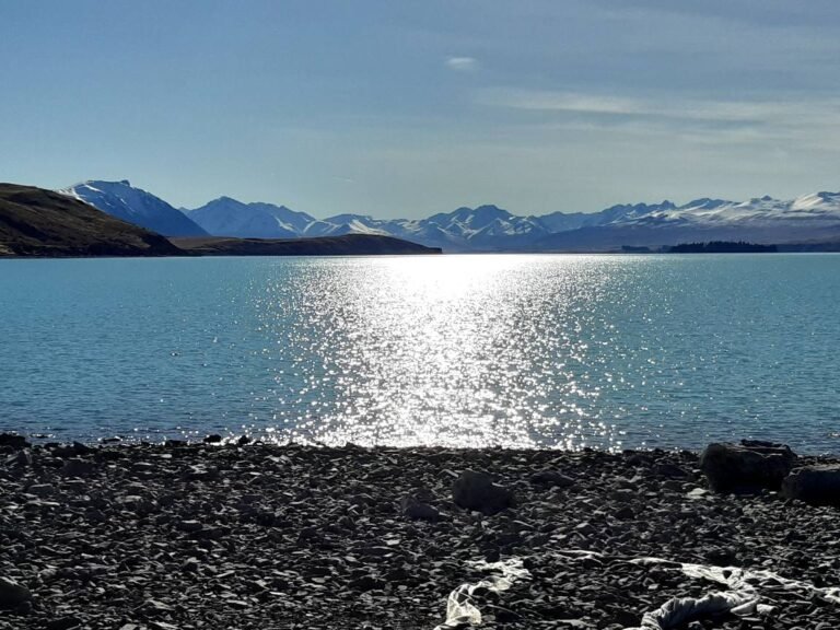 alps 2 ocean bike hire 768x576