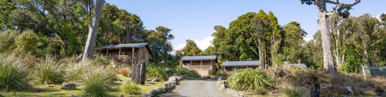 anchorstone stewart island 768x194