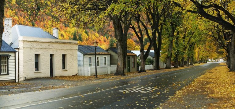 arrowfield new zealand 768x358