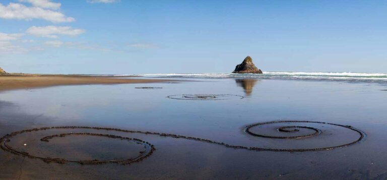 auckland beach tour 768x357