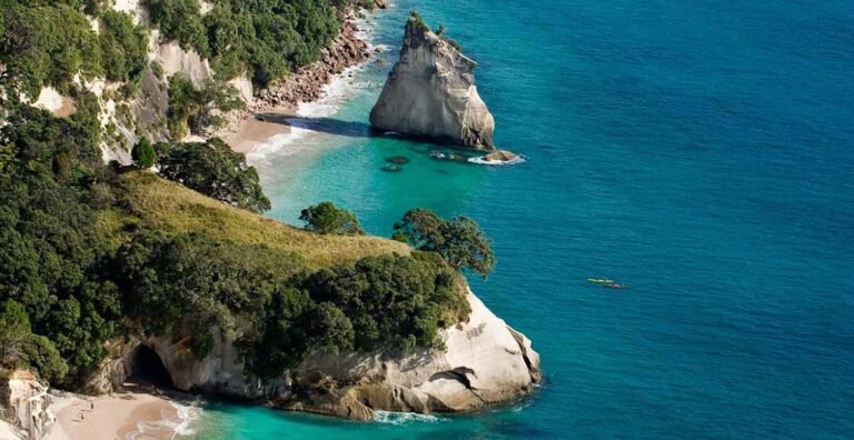 auckland eco tours 768x396