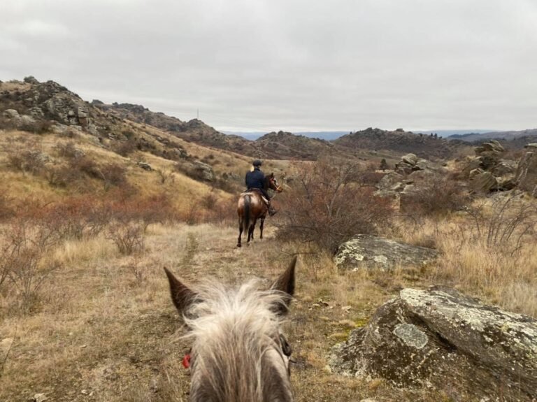 back country saddle expeditions 768x575