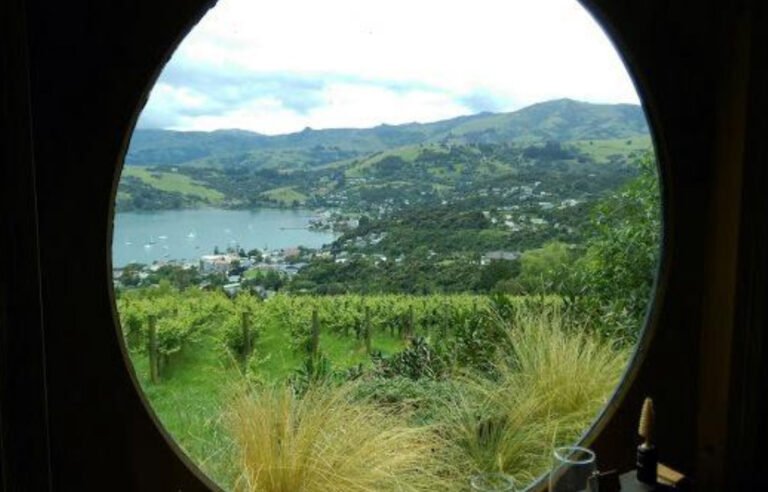banks peninsula wine tour 768x492