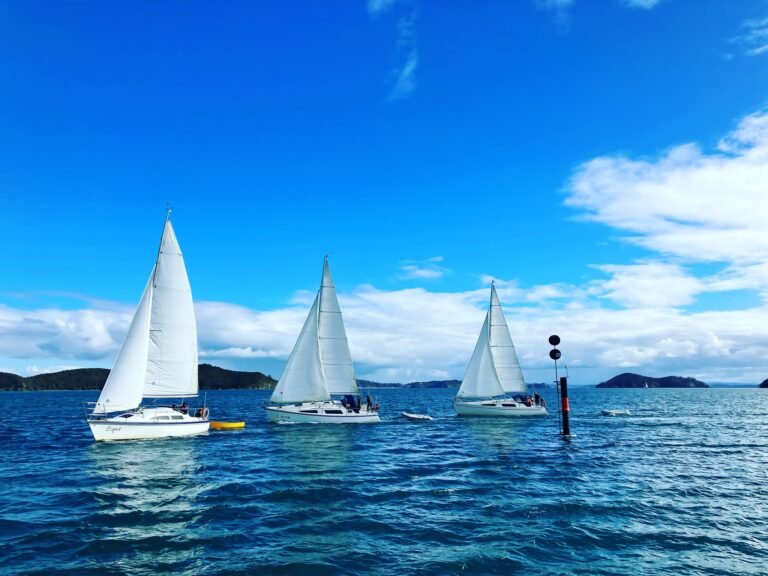 bareboat paihia 768x576