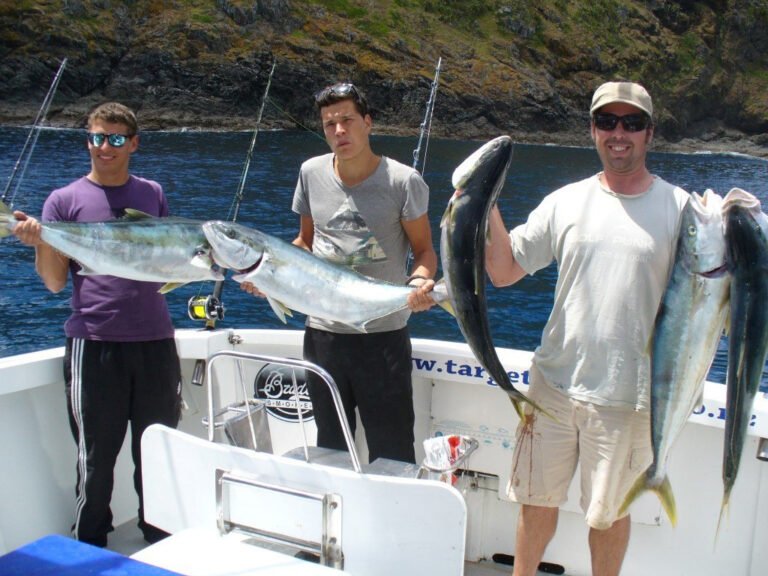 bay of islands game fishing 768x576