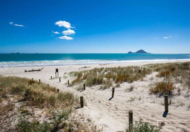 bay of plenty beach holiday 768x534