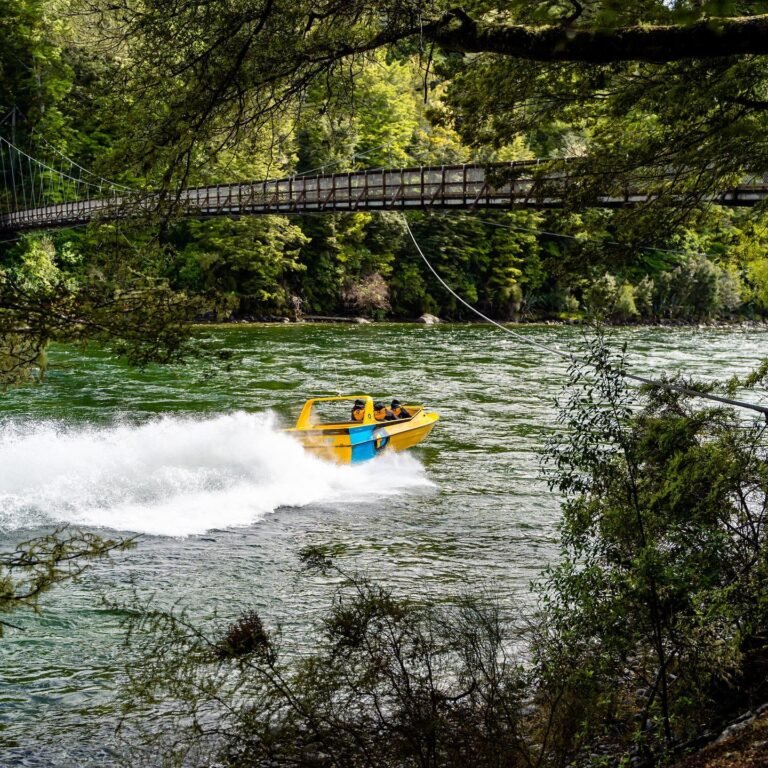boat tour te anau 768x768