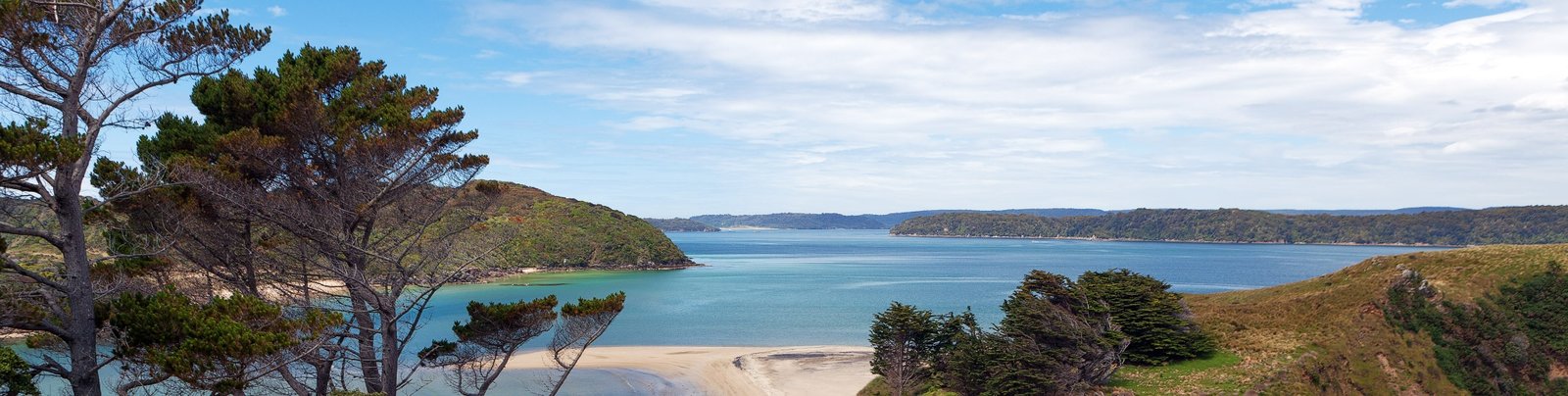 Anchorstone Retreat | Luxury Accommodation Stewart Island photo 2