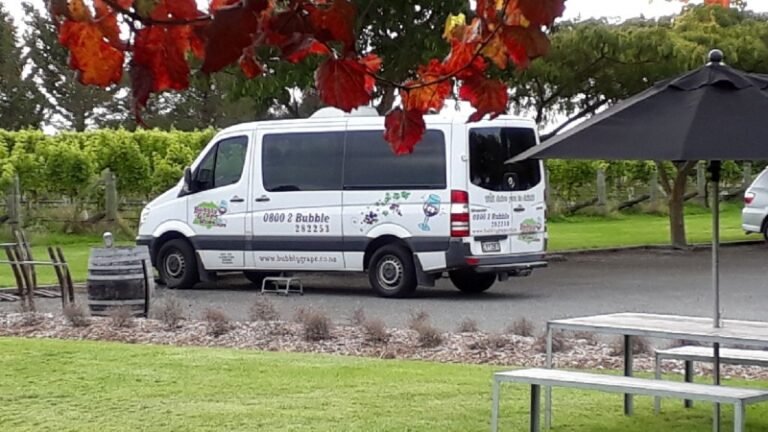 bubbly grape wine tours 768x432