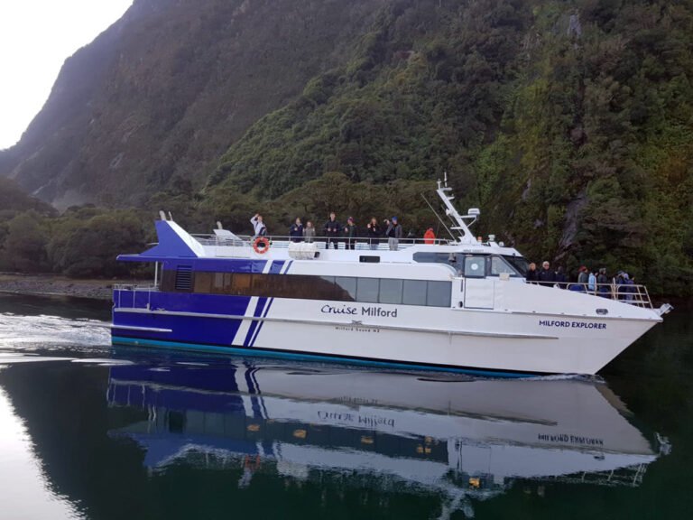 bus boat tour milford sound 768x576