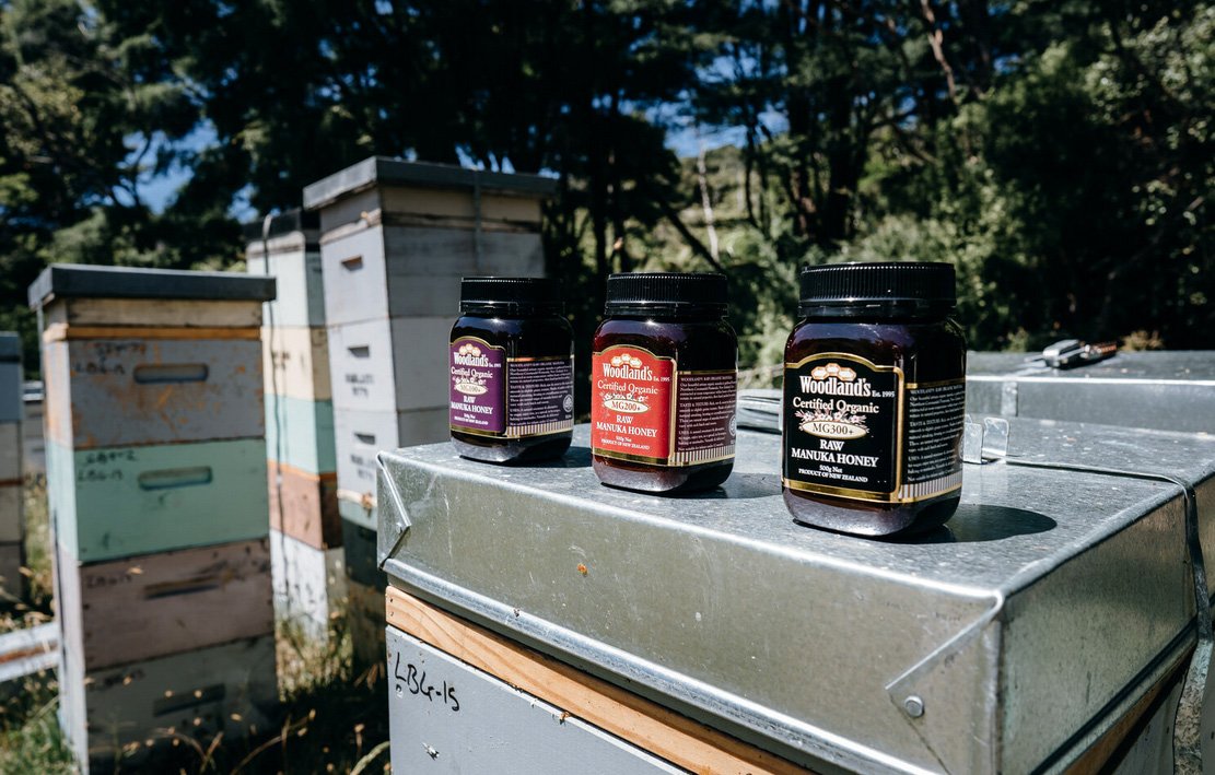 Woodlands Organic Manuka Honey, Coromandel photo 2