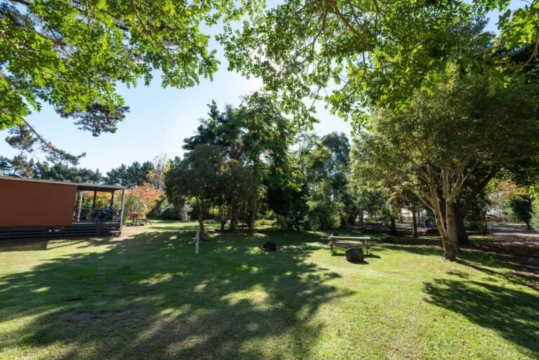 camping ahipara 768x513