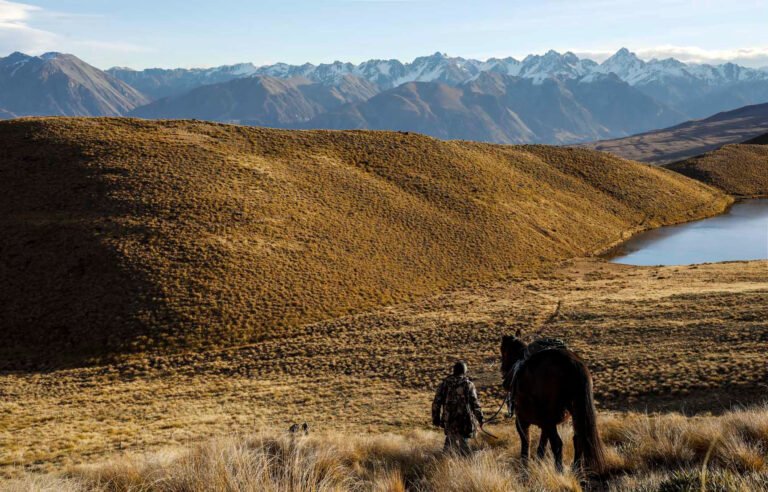 canterbury high country tour 768x492