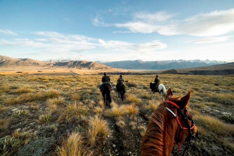 canterbury horse riding 768x512
