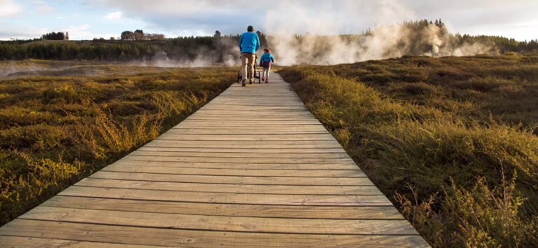 craters of the moon taupo 768x354