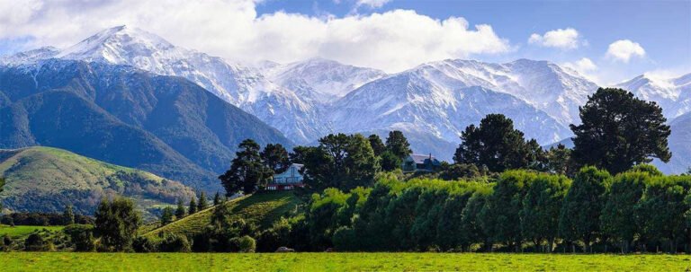 cubby house kaikoura 768x303
