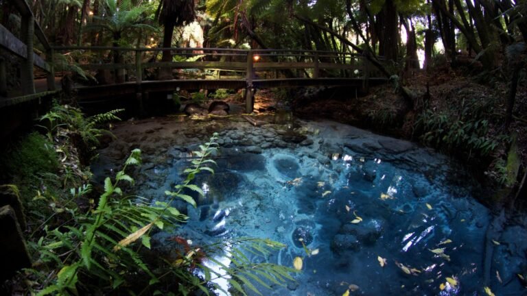 culture tour rotorua 768x432