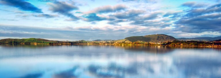 day tour bay of plenty 768x274