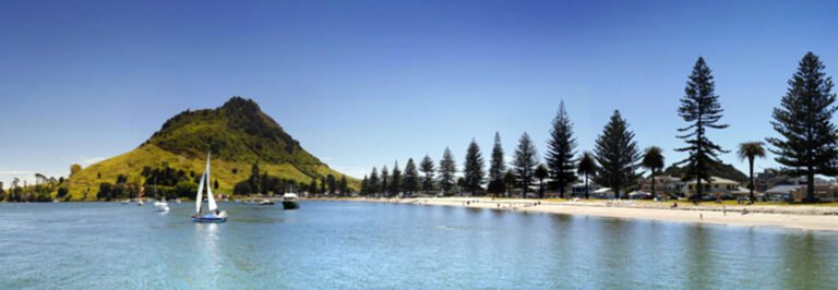 day tours bay of plenty 768x266