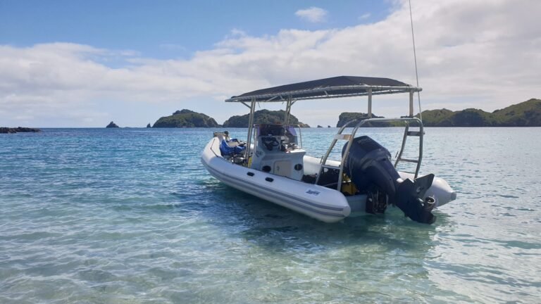 dive bay of islands 768x432