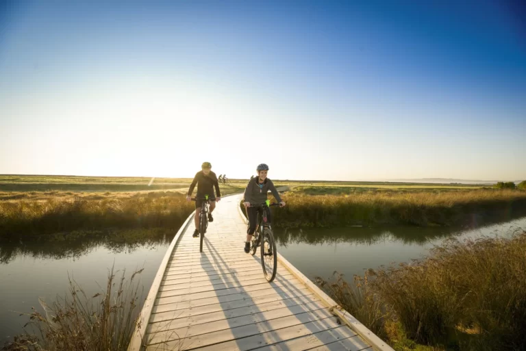 ebike rental napier 768x513