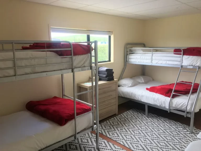 family room otorohanga 768x576