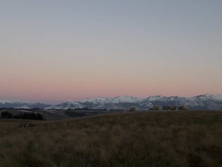 family tour te anau 768x576