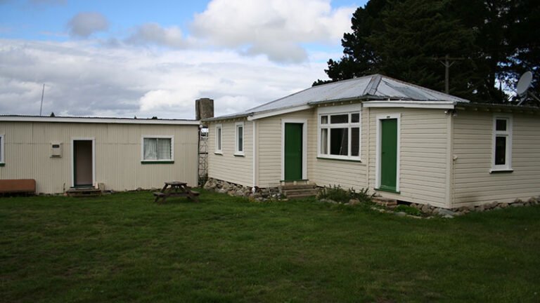 farmstay new zealand 768x432