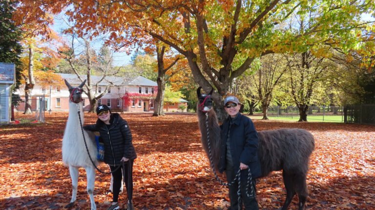 fun activity hanmer springs 768x431