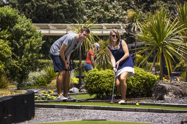 fun activity napier 768x512