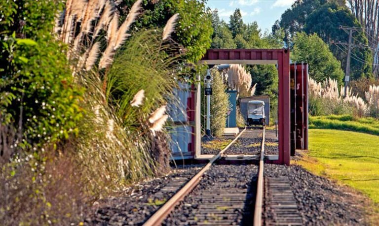 fun activity whakatane 1 768x459