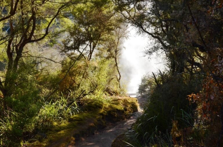geothermal walk taupo 768x509