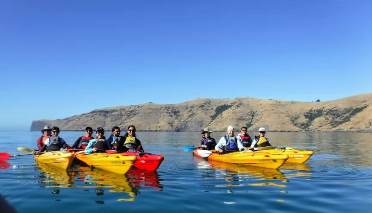 group kayak tour akaroa 768x441