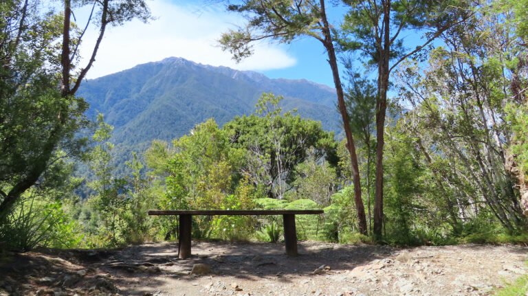 guided walk old ghost road 768x431